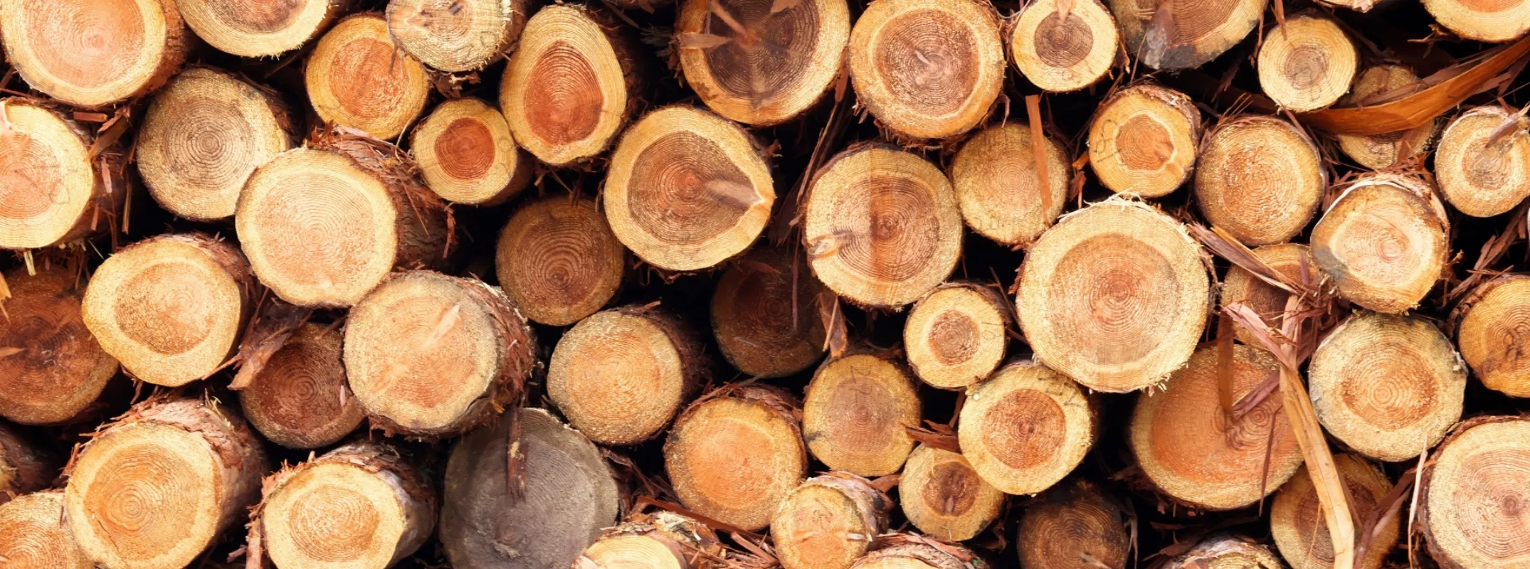 会社概要・アクセス