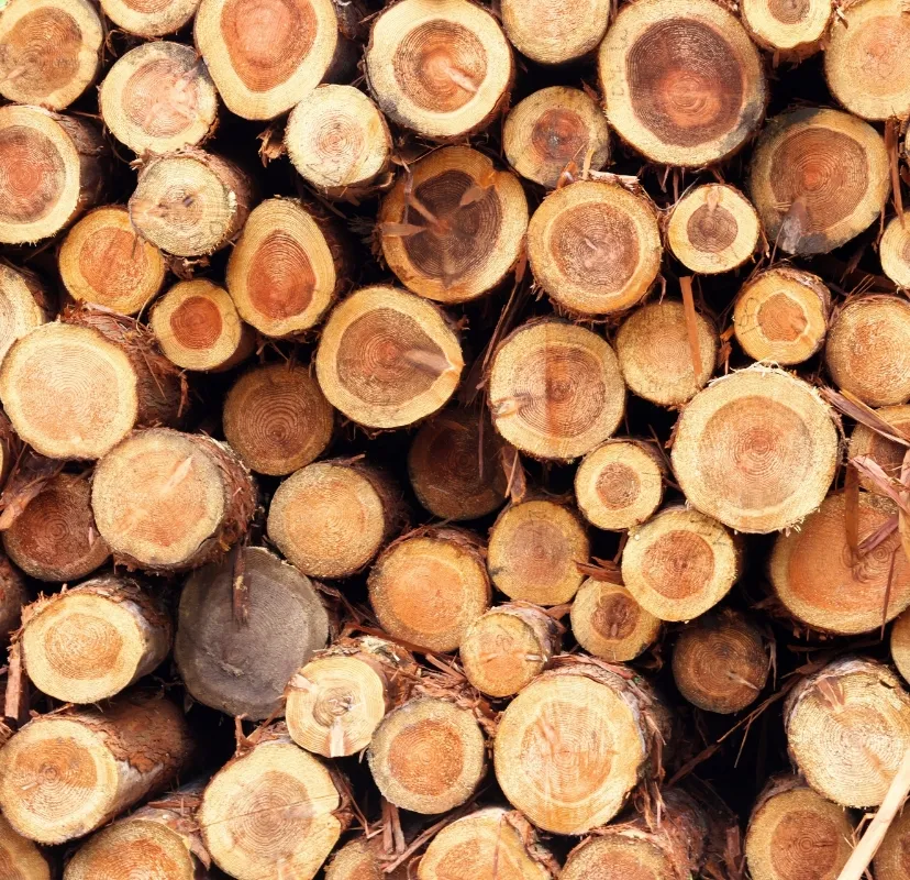 会社概要・アクセス