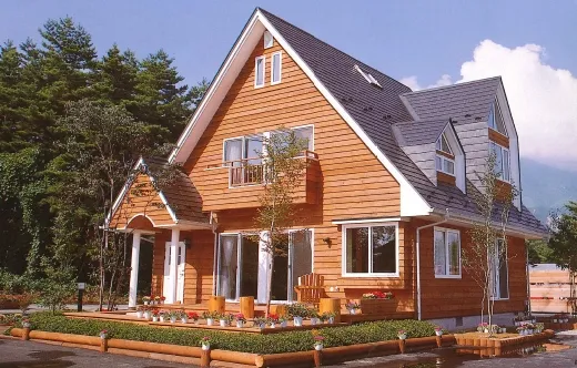 RINYU’S HISTORY 1989